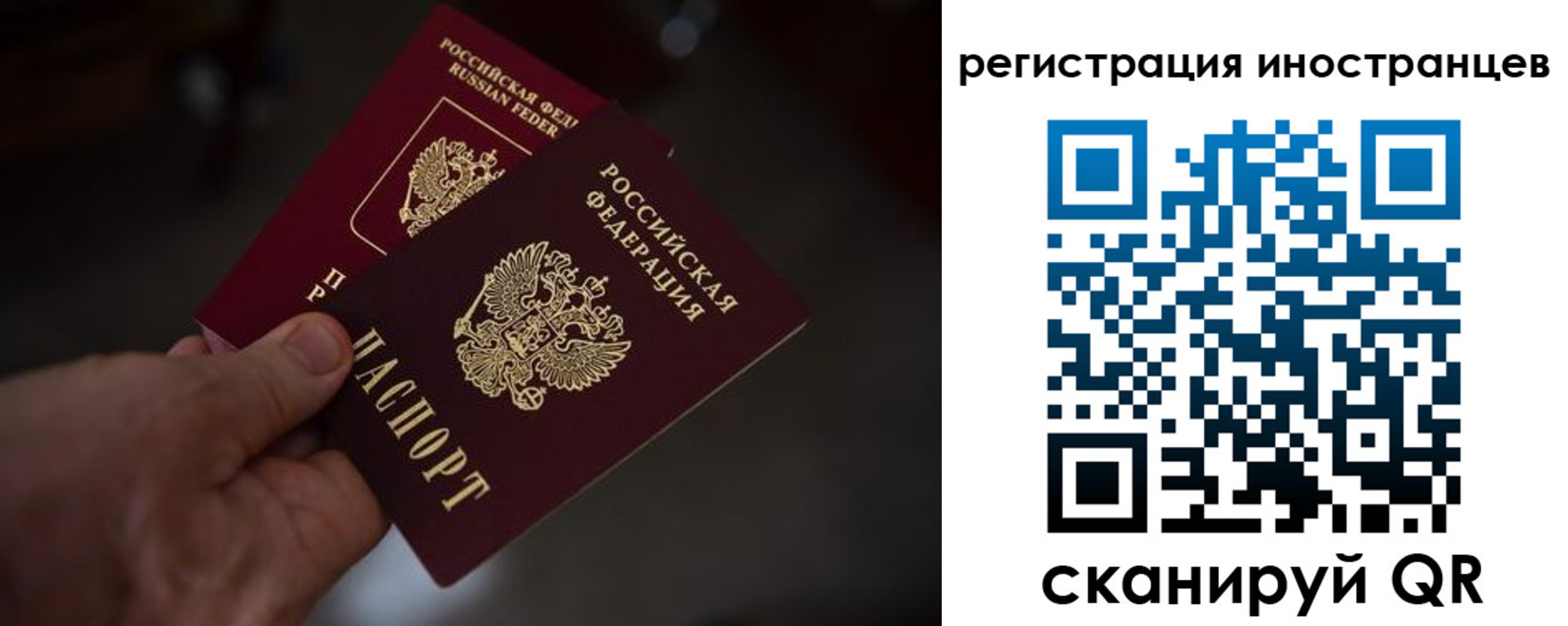 временная регистрация 2025 в Тогучине